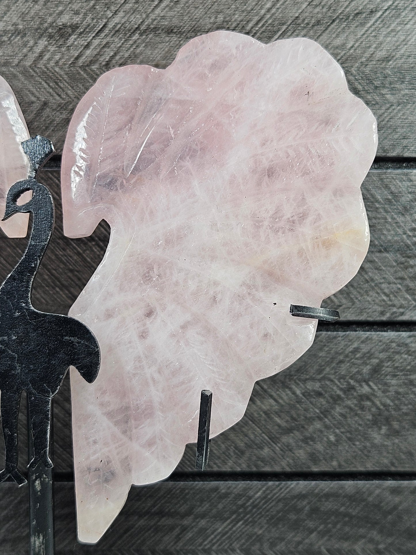 Rozenkwarts pauw nr1