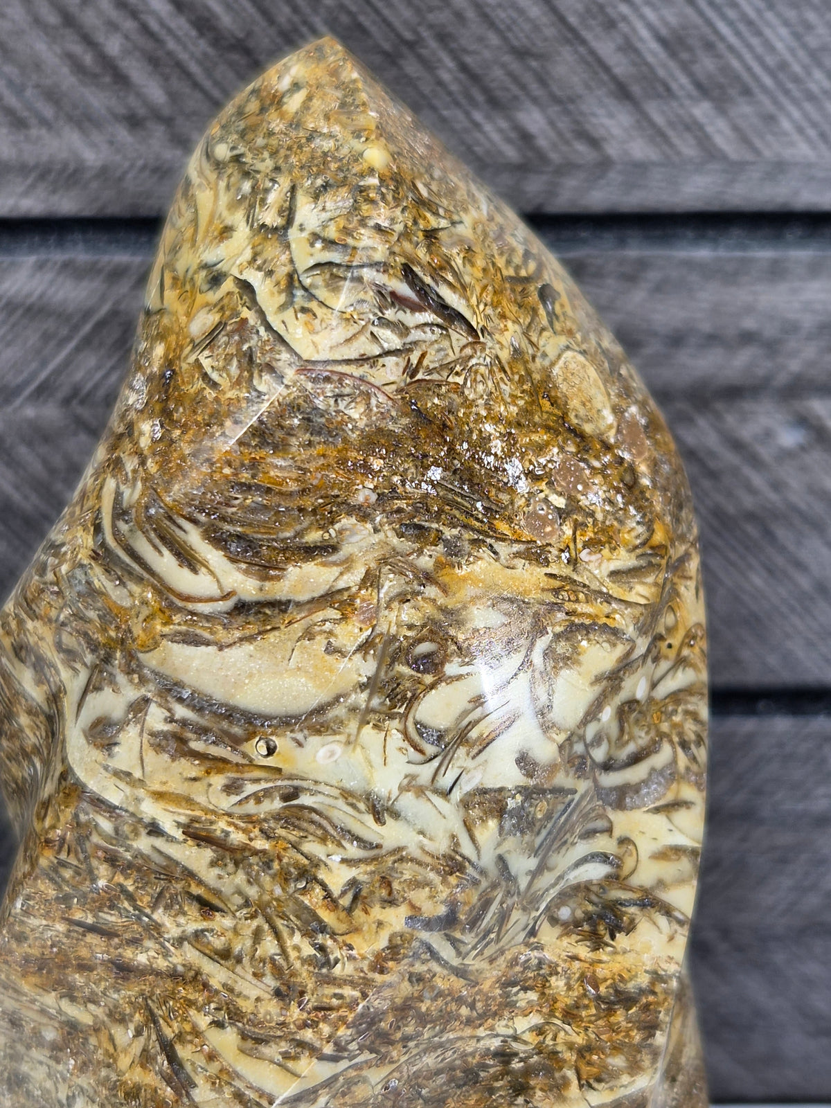 Fossiel Jaspis Sculptuur 424 gram