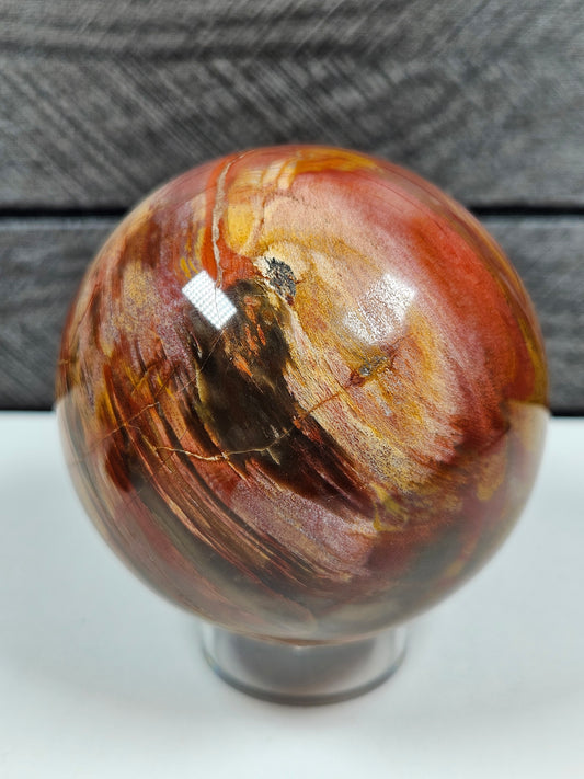 Versteend Hout bol 386 gram