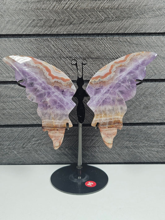 Amethist/Crazy Lace vlinder 94