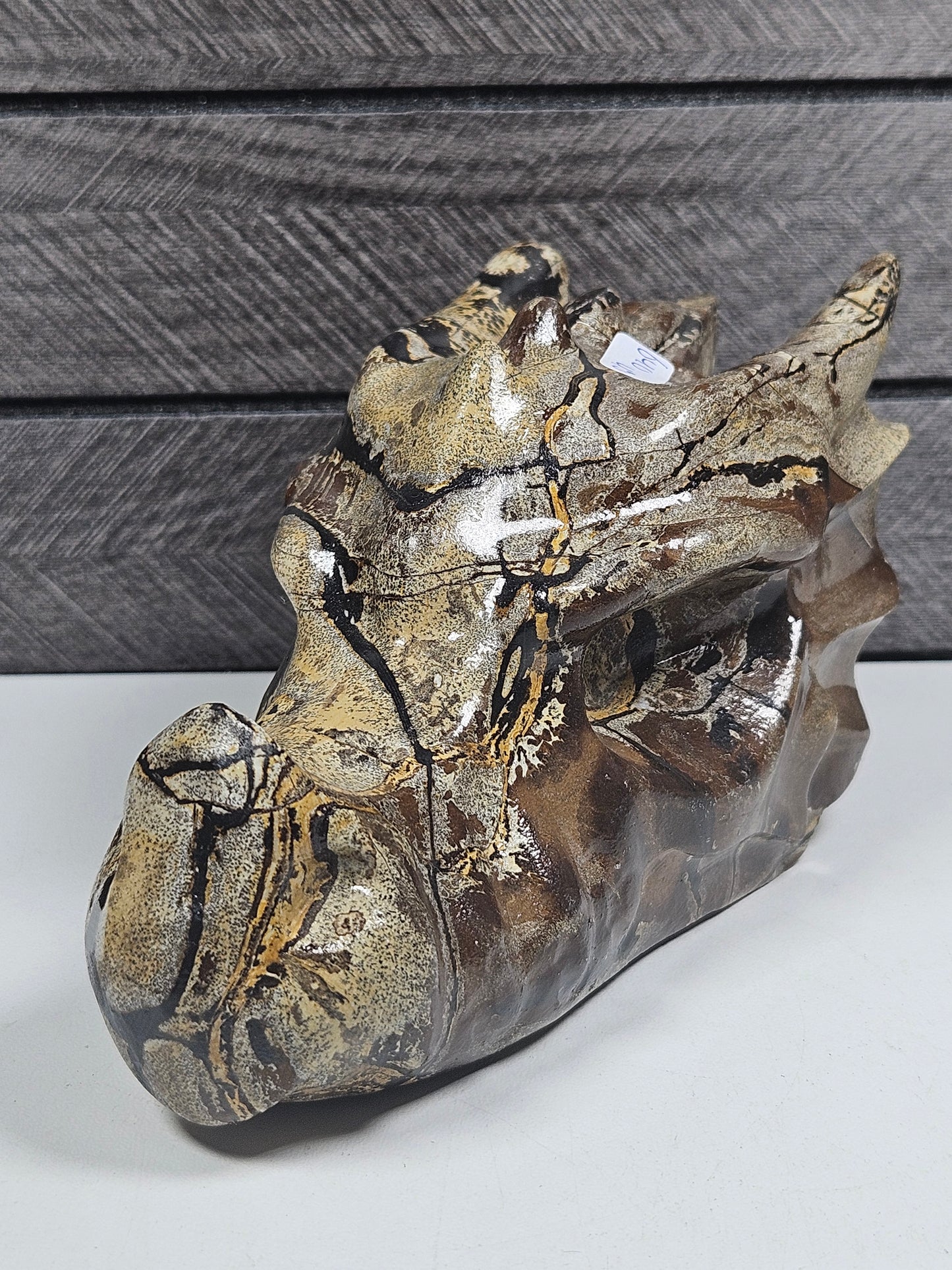 Landschap Jaspis Drakenkop 640 gram