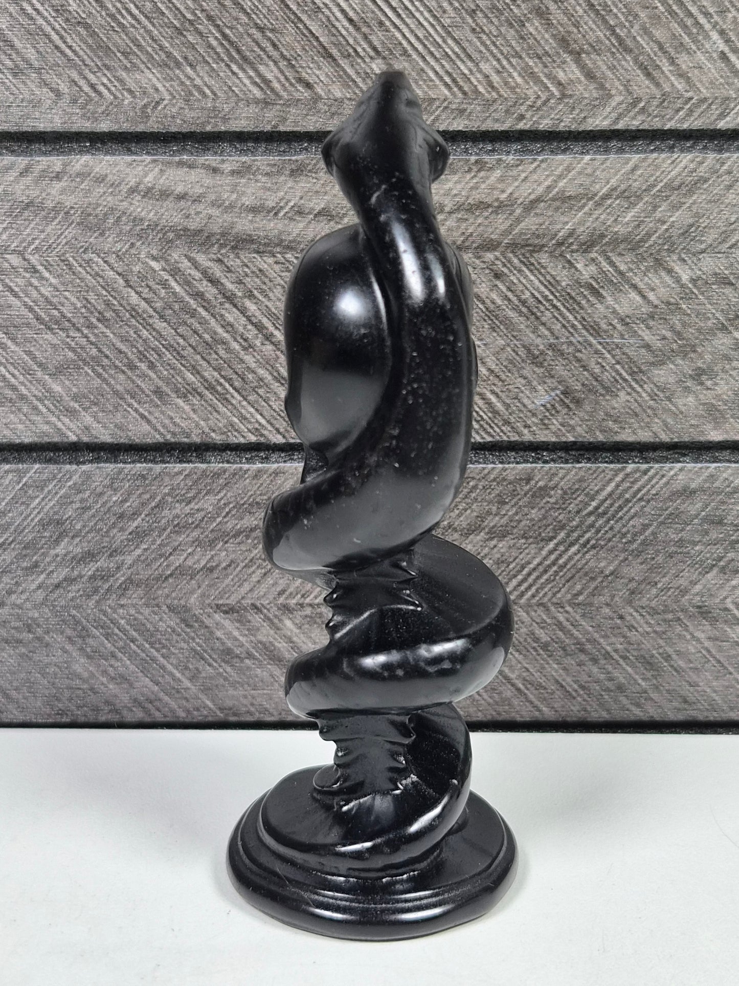 Obsidiaan Schedel met Slang