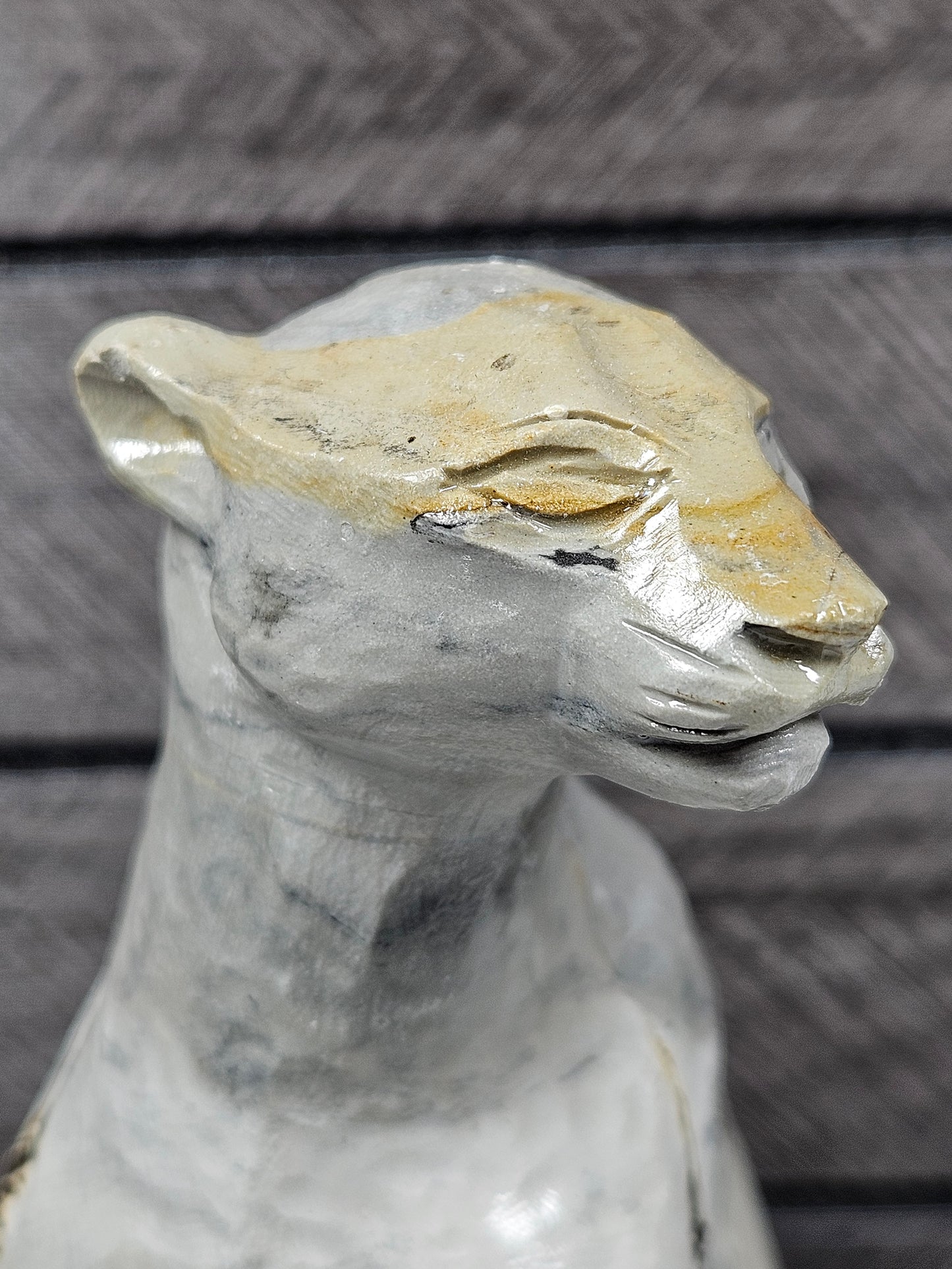 Landschap Jaspis luipaard 598 gram