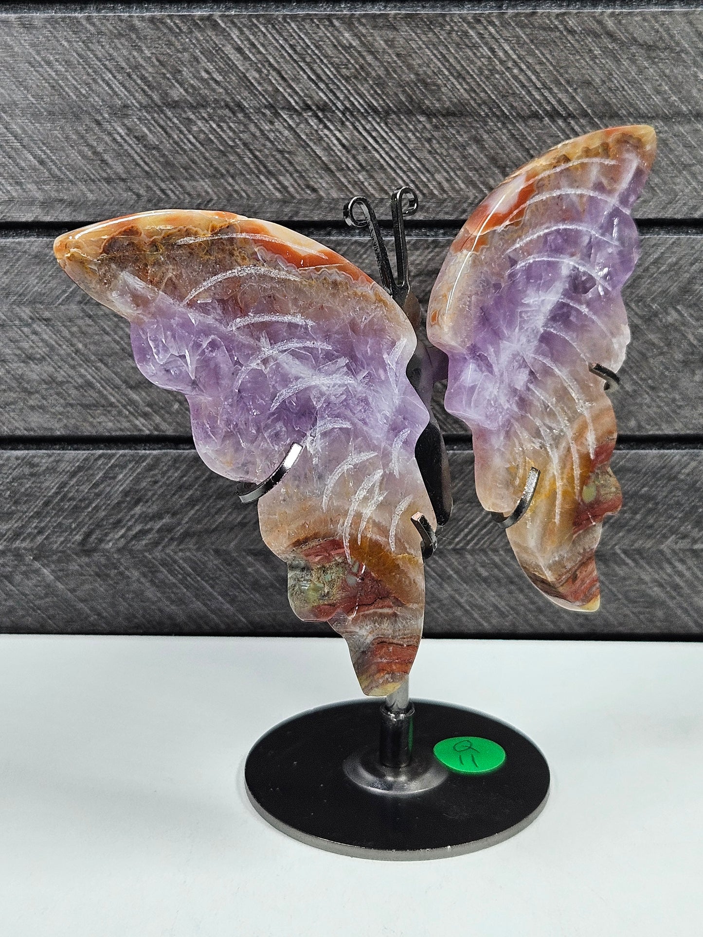 Amethist/Crazy Lace vlinder Q11