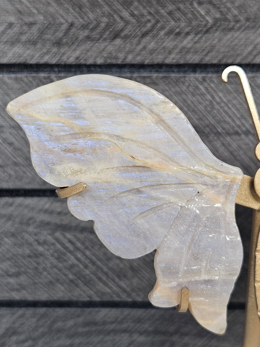 Maansteen vlinder nr78