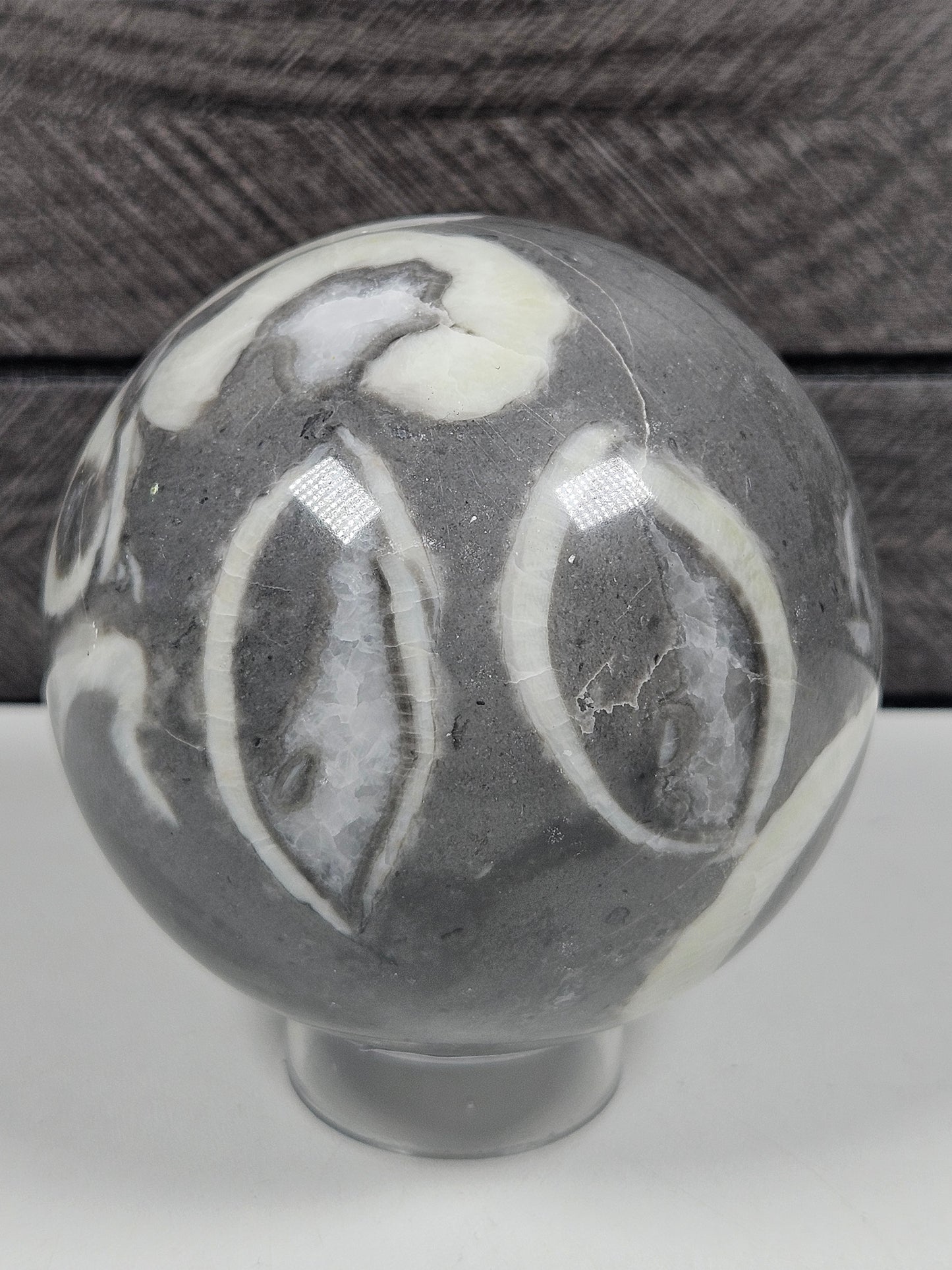 Sea Shell Jaspis bol 556 gram