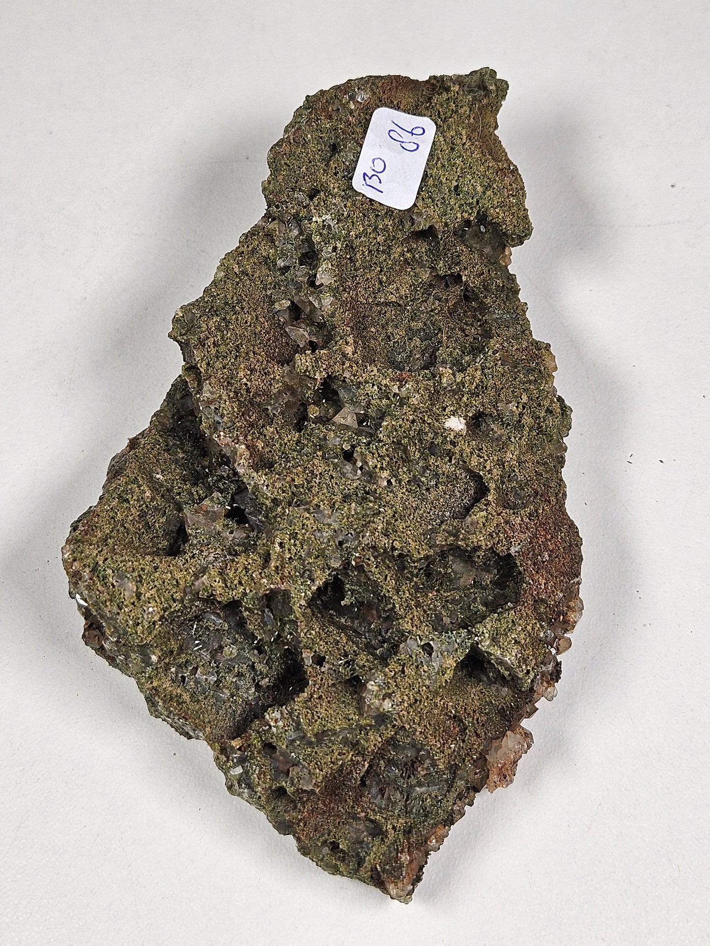 Forest Epidoot 130 gram