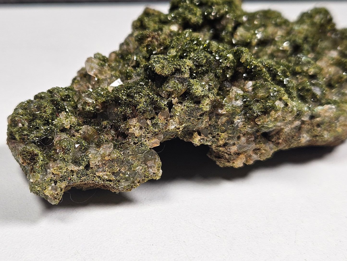 Forest Epidoot 130 gram