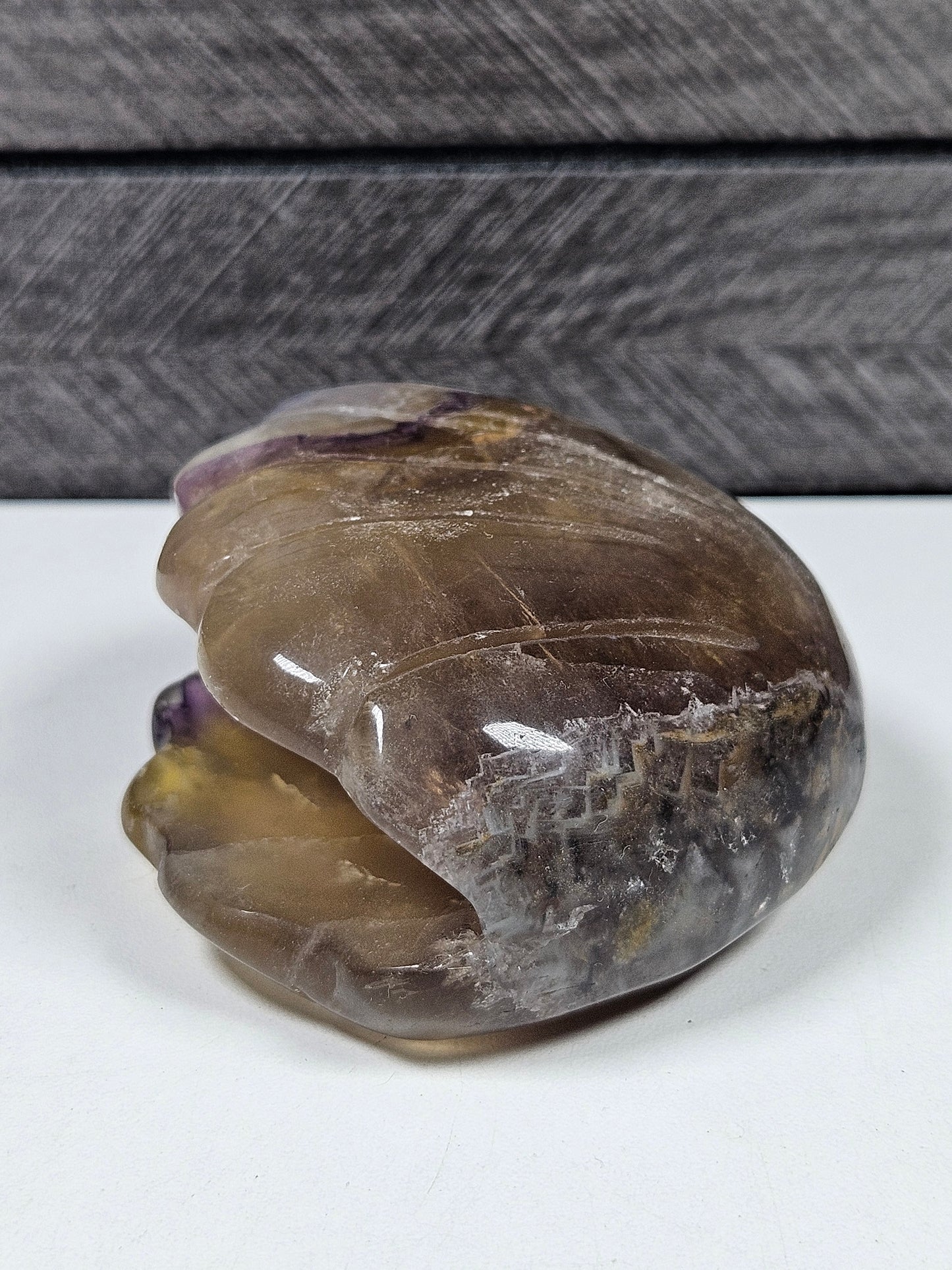 Fluoriet schelp 282 gram