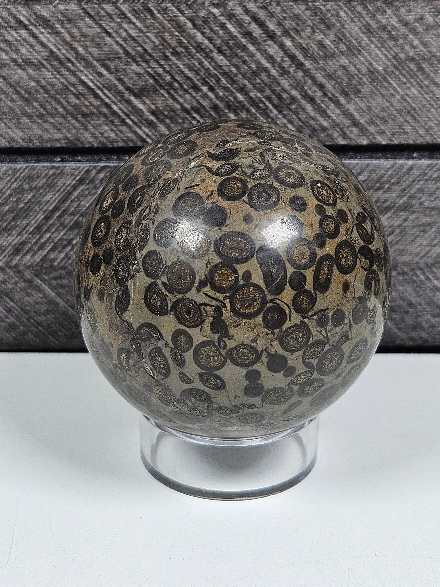 Leopard Skin Jasper bol 214 gram