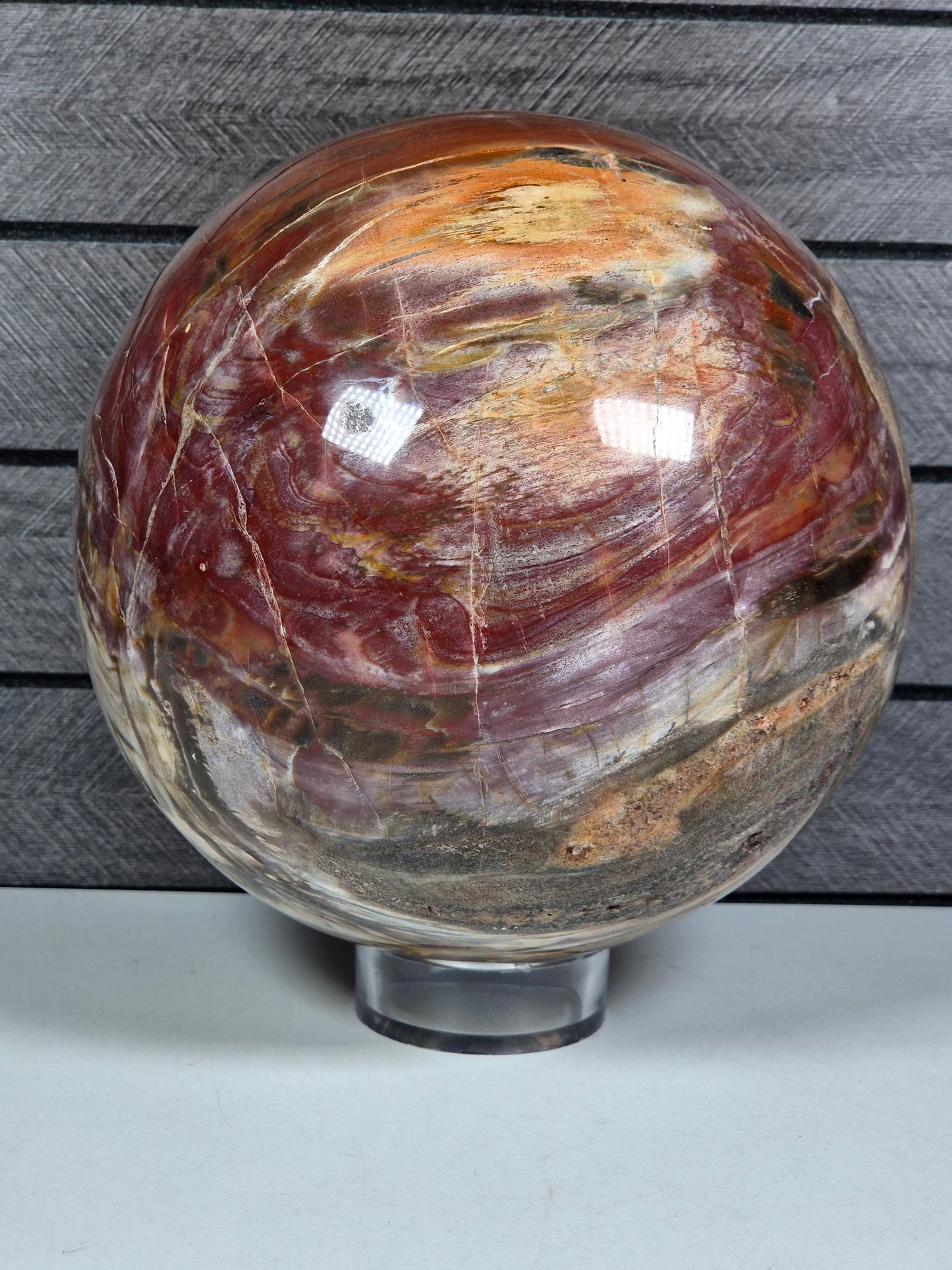 Versteend Hout bol 3934 gram