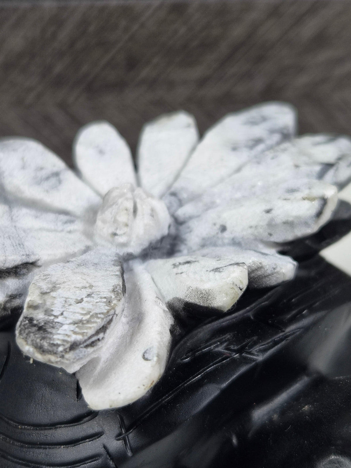Chrystantemum Schildpad 276 gram