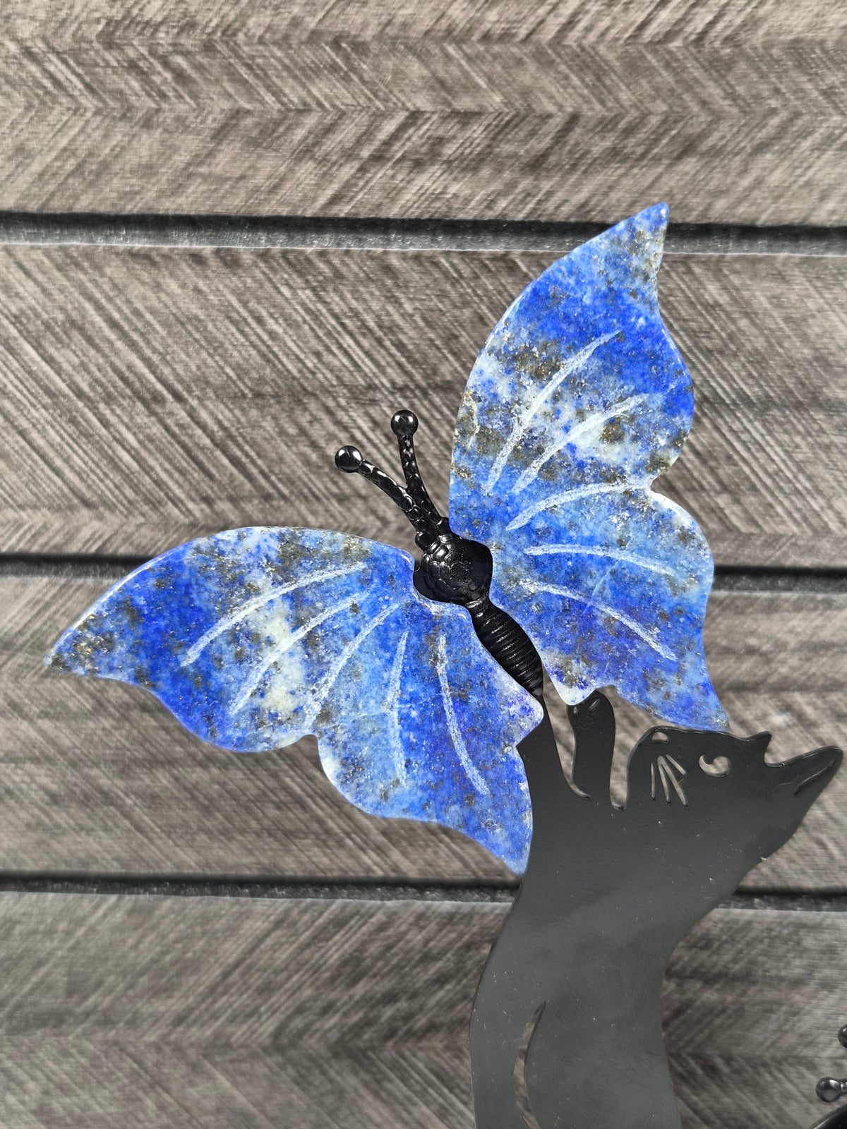 Lapis lazuli Vlinders met Kat