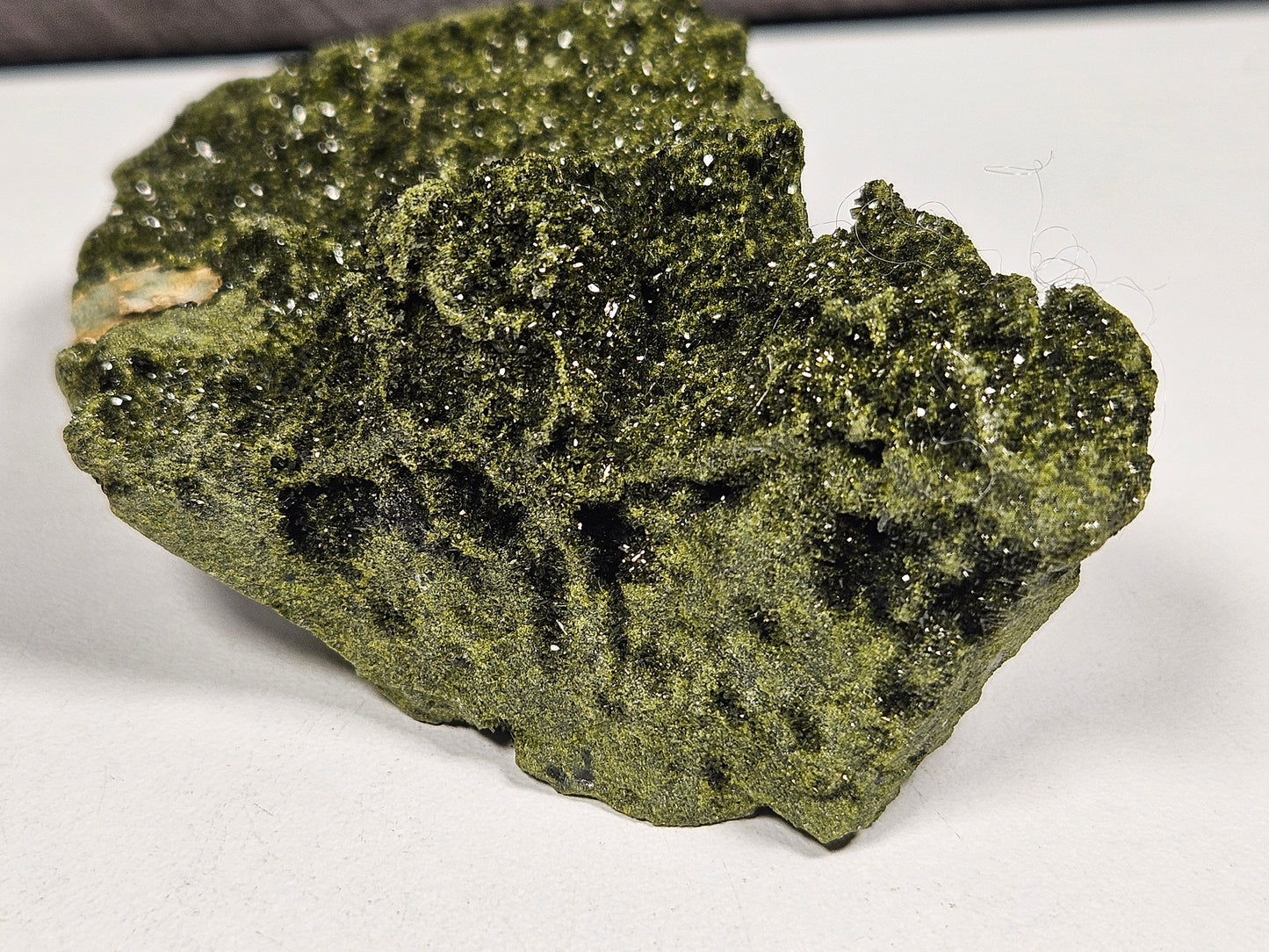 Forest Epidoot 108 gram