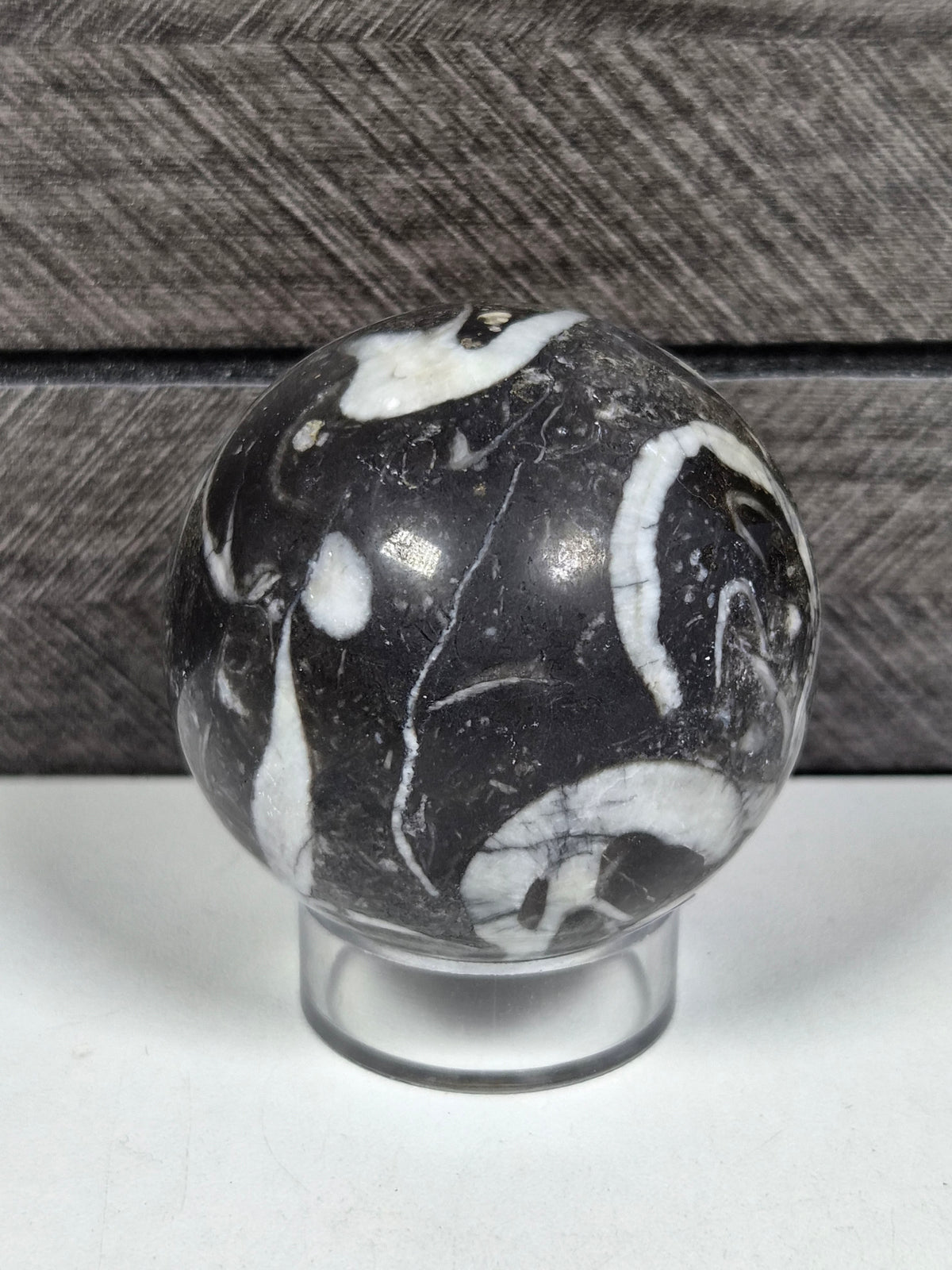 Sea Shell Jaspis bol 202 gram