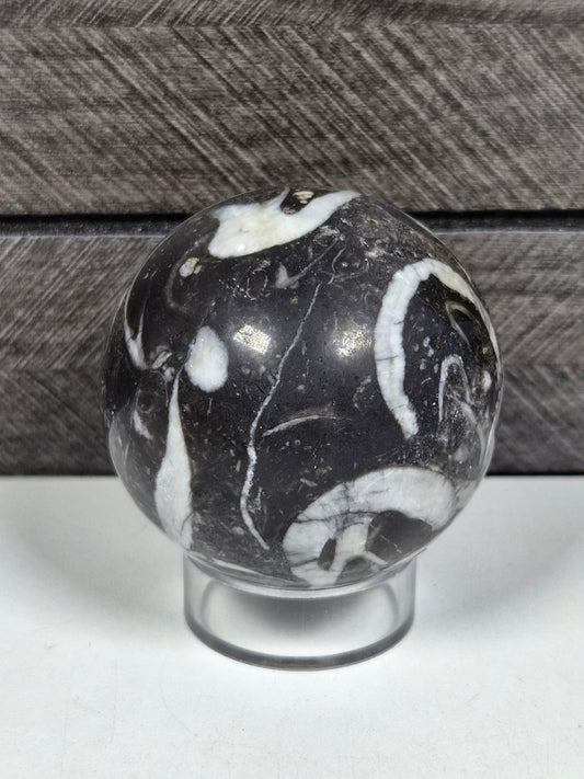Sea Shell Jaspis bol 202 gram