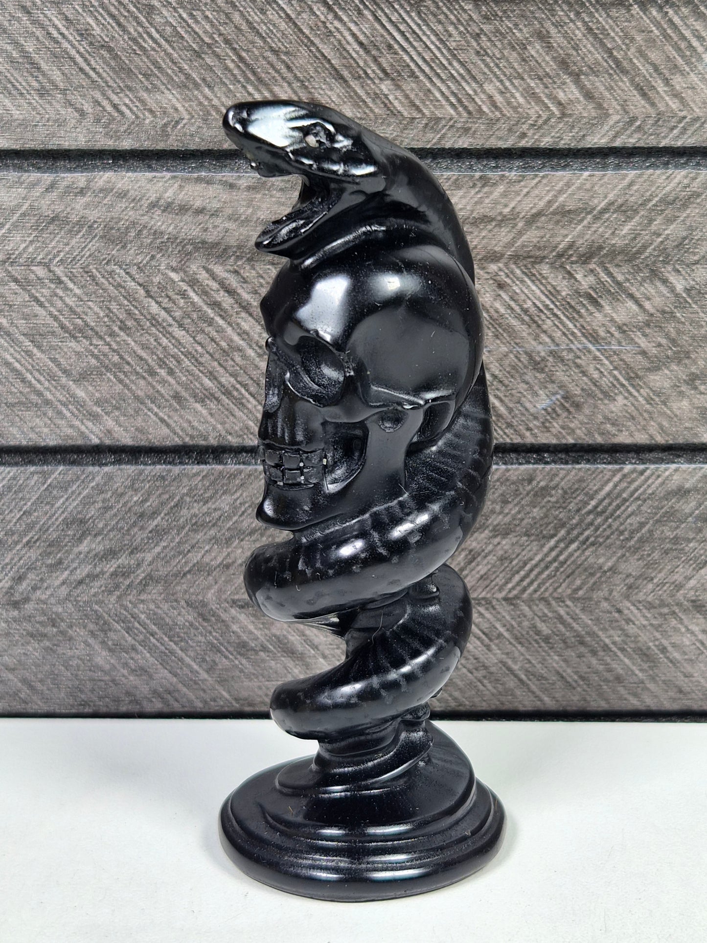 Obsidiaan Schedel met Slang