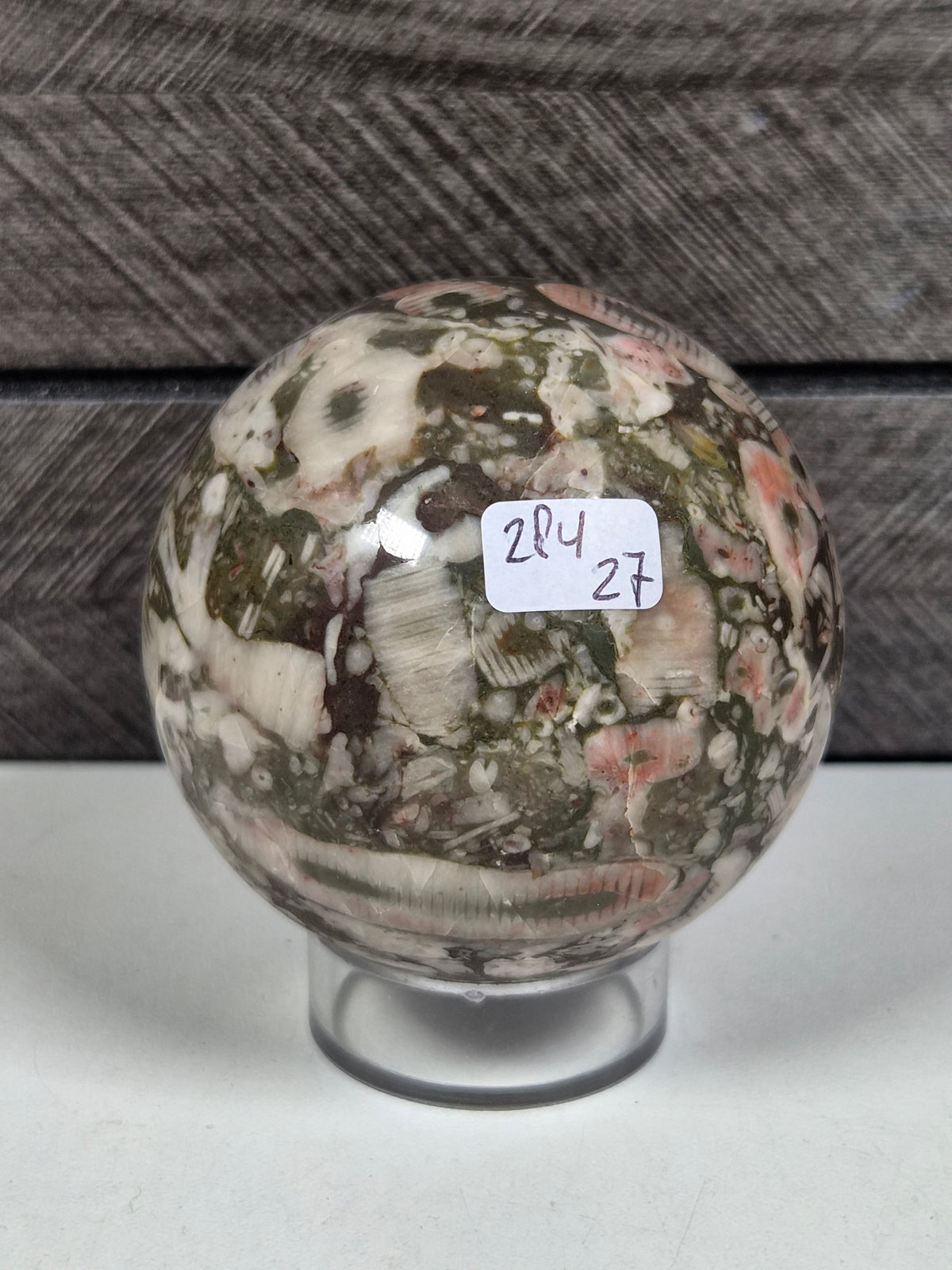 Cronoïde fossiel Bol 284 gram