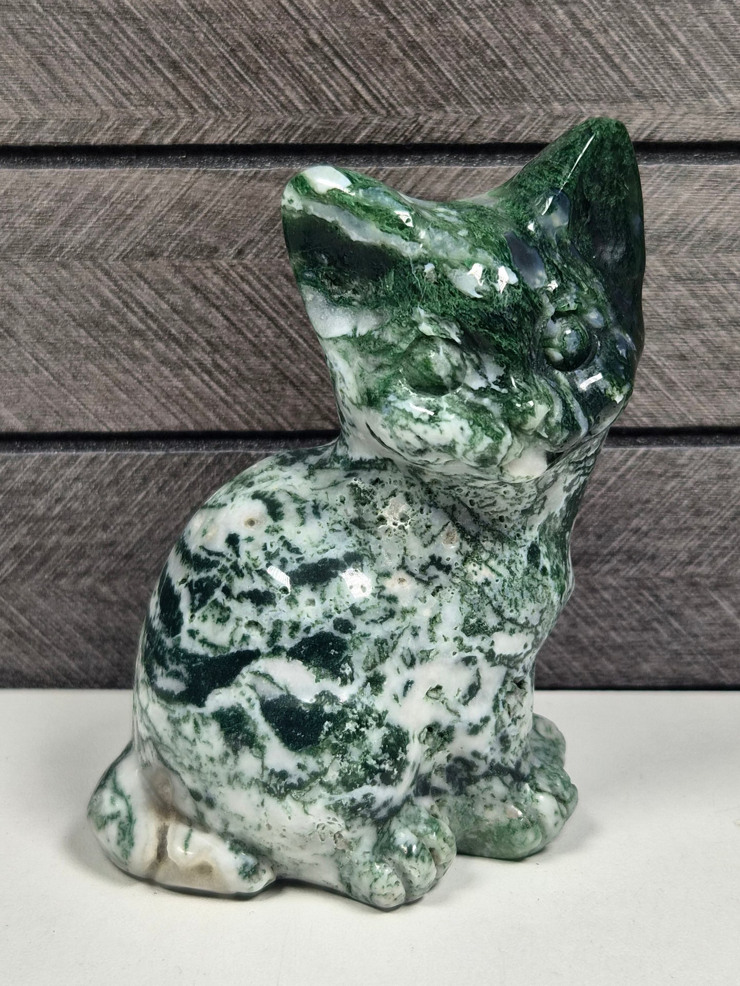 Mosagaat Kat 356 gram