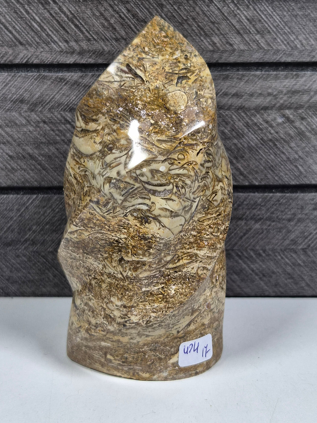 Fossiel Jaspis Sculptuur 424 gram