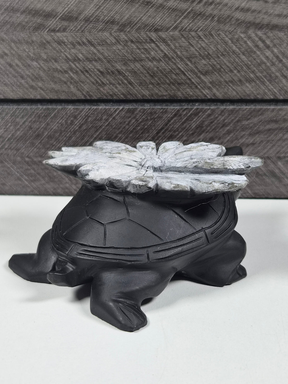 Chrystantemum Schildpad 264 gram