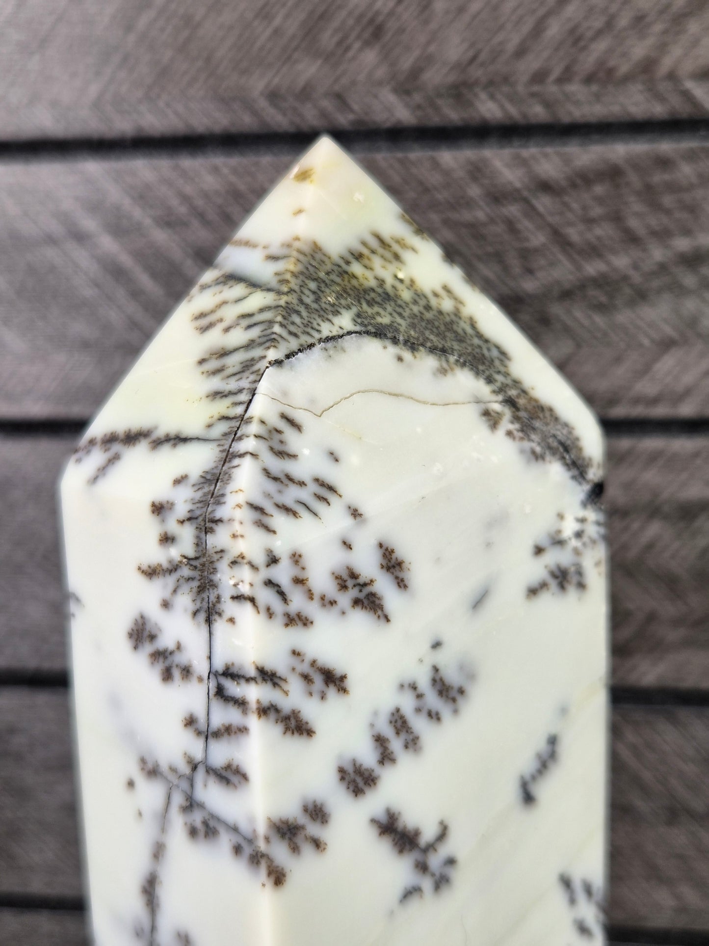 Dendriet Agaat toren 906 gram