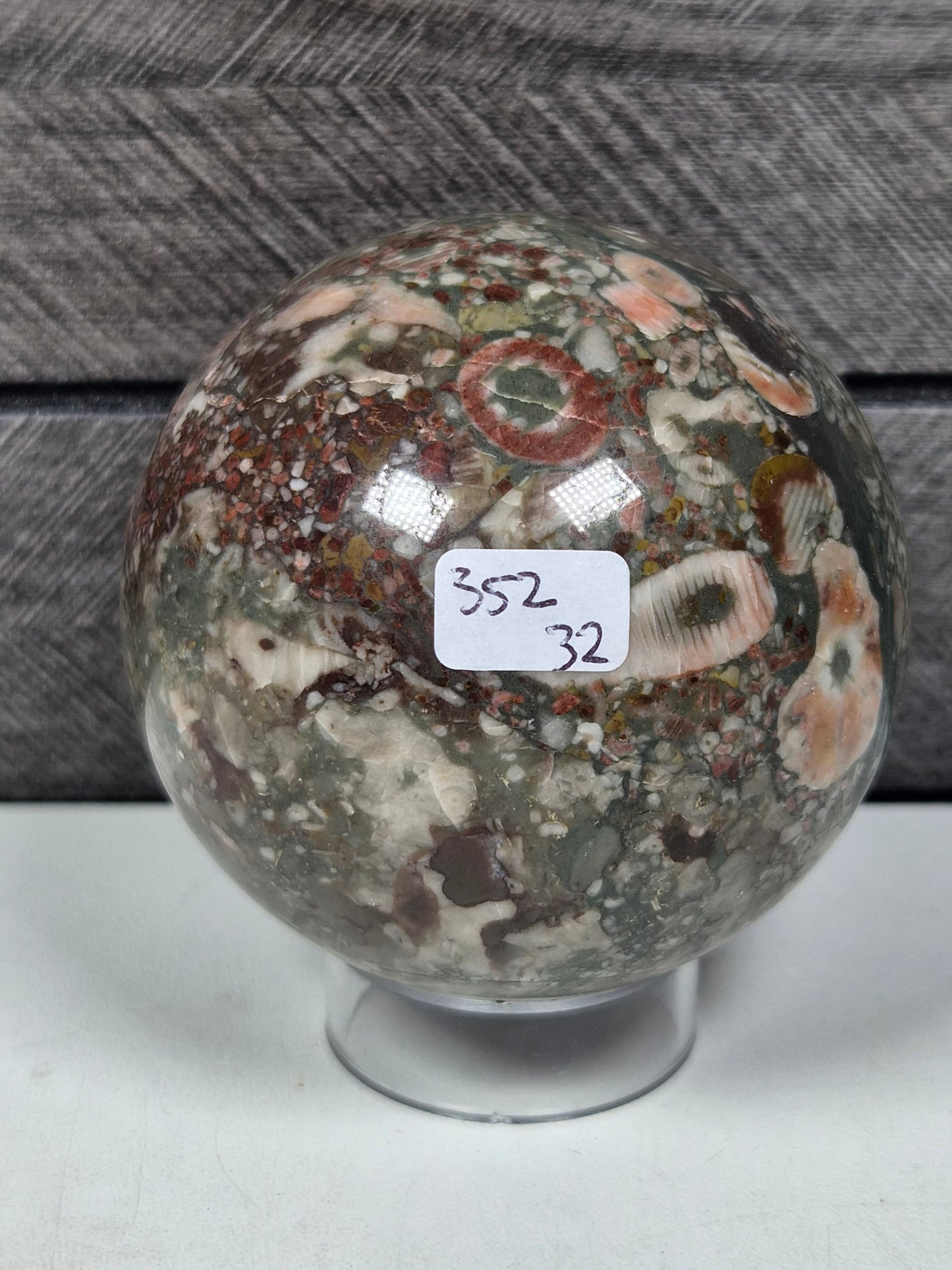 Crinoïde fossiel Bol 352 gram